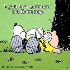 If You Love Someone Let Them Nap Snoopy Quotes Snoopy Love Snoopy
