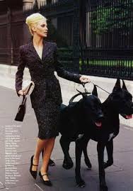 All puppies will be raised in our home and well started on basic commands and potty training. 67 Big Dogs Ideas Big Dogs Dogs Great Dane