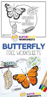Butterfly Life Cycle Worksheets In 2020 Teaching Life Cycle Butterfly Life Cycle Life Cycle Learning