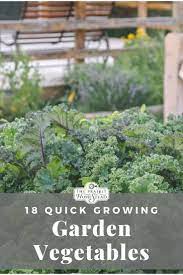 Fast Growing Vegetables To Grow For An Early Harvest The Prairie Homestead Growing Vegetables Growing Gardens Fast Growing Vegetables