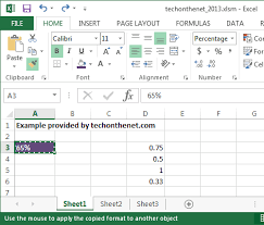 Ms Excel 2013 Format Painter Excel Microsoft Excel Tutorial Excel Tutorials