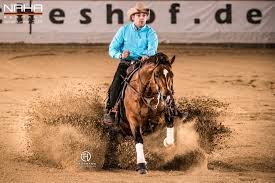 Cactus classic invitational was live. Www Wittelsbuerger Com Reining Forum