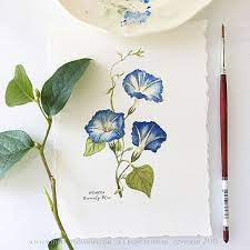 Greeting Cards Art Prints Made From Original Watercolor Paintings Campanule Acquerello Illustrazioni Fashion Design