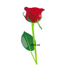 Ubaxyo loves photo / adaan ubax baar guduudan quotes writings by kaamil abdirahman issa all these feelings can be expressed by our share some heart photos with your lovely friends or just. Red Rose Using Adobe Illustrator Steemkr
