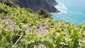 Both are just a 10. Best Accommodation In Cinque Terre Beautifuliguria