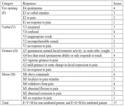 Image result for FOUR Score Coma Exam