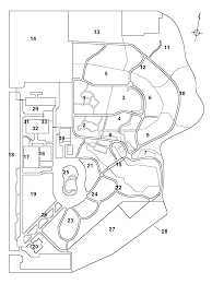 Image result for Ancistrorhynchus ovatus