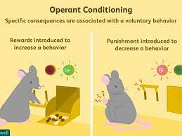 What Is Operant Conditioning And How Does It Work