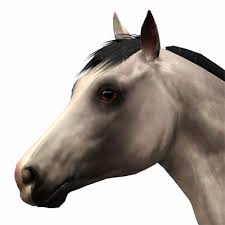 I've seen everything from one for the sims 2 which added horses to the. Realistic Horse Eyes Lakeside Saddlery