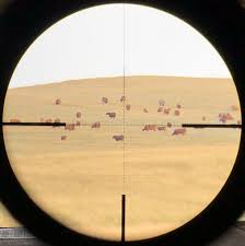Engineered and designed to perfection, vortex rifle scopes are the summation of what long range shooting scopes ought to be. Diamondback Tactical 6 24x50 Ffp Ebr 2c Mrad Proptics