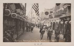 Image result for Brown 1968 Fleet