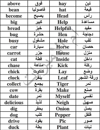 مدونة تعلم مفردات ومعاني الوحدة الخامسة في اللغة الانجليزية للصف الثاني الفصل الثاني