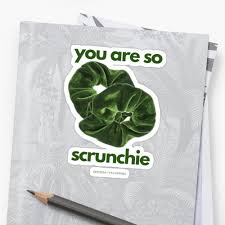 You Are So Scrunchie Scrunchie Meme Joke Funny Millions Of Unique Designs By Independent Artists Find Scrunchies Hardcover Notebook T Shirts For Women