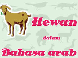 Check spelling or type a new query. Nama Nama Hewan Dalam Bahasa Arab Arobiyah Institute