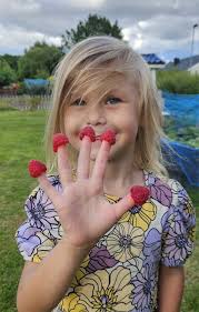 SOMMARBILDEN: Se alla tävlande bidrag här