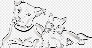 Mascota Sentada Gato Perro Caminando Cachorro Gato Blanco Mamifero Cara Png Pngwing Cortes de pelo de santa reales. mascota sentada gato perro caminando