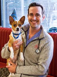 Call today or request an appointment on our website. Veterinarians Boston Animal Hospital