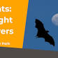 Bats: Flyers of the Night event image