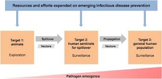 Image result for Emerging Infection