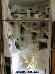 Decoration Appartement Decoration Appartement Reptile Decor Bearded Dragon Bearded Dragon Terrarium