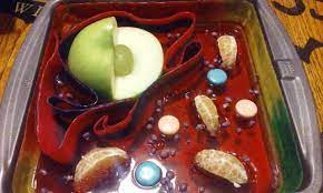 Check spelling or type a new query. Edible Cell Animal Made With Jello Tangerine Nerds Sweet Tarts Fruit By The Foot An Apple A Grape Fun L Edible Cell Edible Cell Project Cells Project