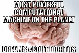 Image result for funny brain