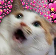 We've gathered our favorite ideas for popular anime 1080x1080 pfp, explore our list of popular images of popular anime 1080x1080 pfp and download photos collection with high resolution Our Neverland Stray Kids Discord Server Had The Genius Idea Of