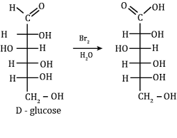 The difference in the number of hydrogen atom between gluconic acid and  saccharic acid is: