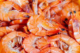 Sky fish s3 mini shrimp feed (baby food). What Do Freshwater Shrimps Eat Find Out The Best Food Stories Of Water
