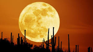 Love supermoon preserved generation ajulo mewa faruq onikijipa audio lecture jay mcghee feat lucy lu me and my baby latest 2020 vudu movies african voodoo carlifornication season 1 full hollywood movies 2020 in hindi okey jakotachukwu. Does A Full Moon Make People Mad Bbc Future