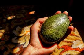 Pertama kali saya kenal avocado ni masa anak ketig. 5 Ciri Ciri Alpukat Sudah Tak Layak Dimakan Kumparan Com