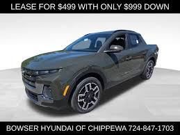 Image result for Rockwood Green 2025 Santa Cruz