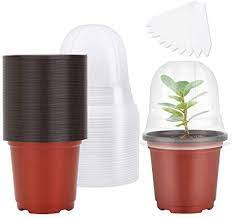 9 styles flower pot plastic planter breathable slotted cup, universal fits. Mixc Plant Nursery Pots With Humidity Dome 4 Soft Transparent Plastic Gardening Pot Planting Containers Cups Planter Small Starter Seed Starting Trays For Seedling With 10pcs Plant Labels 30 Sets Amazon Ae Patio