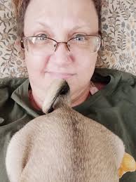 Local pug meet up ideas at dog friendly parks