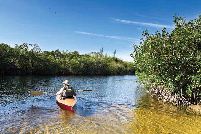 Embody a Passion for Nature on Rookery Bay | Naples Illustrated