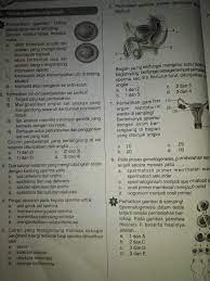 Pada kesempatan kali ini akan kami bagikan contoh latihan soal mid uts ulangan tengah semester 1 ganjil kelas 9 ix smp mts mapel ipa. Soal Ulangan Harian Ipa Kelas 9 Bab 1 Jawabanku Id