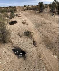Ministerio Público Fiscal de la Provincia del Chubut - CAUSA PINGUINOS CHUBUT: El productor ganadero Ricardo La Regina fue hallado culpable de los delitos de daño y crueldad animal