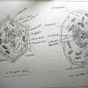 Which structures might be the same in both a plant and an animal cell? 1
