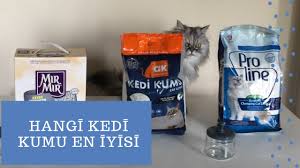 En Iyi Kedi Kumu Hangisi En Kaliteli Kumlari Kiyasladim Izlemeden Kedi Kumu Almayin Youtube