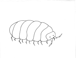 The pill bugs show no statistically significant difference between the food environment and the no food environment. Pill Bug Coloring Pages