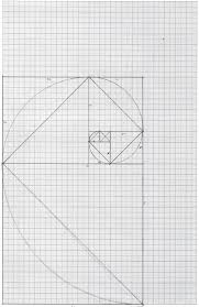 A Line Drawing Of The Fibonacci Spiral On Graph Paper Using Graph Paper Is The Easiest Way To Do An Accurate Drawi Spiral Drawing Fibonacci Spiral Spiral Line