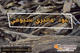 عود ماليزي سيوفي movie posters poster