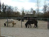 Bitte überprüfen sie die korrektheit der daten indem sie. Zoo In Hof Zoologischer Garten Tierpark Bayern Online De