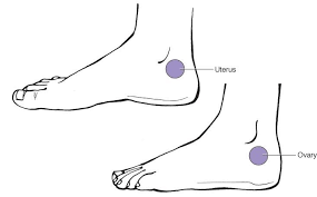 pin on acupressure and reflexology