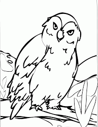 Some of them express through words, while some chooses to express through art. Free Coloring Pages Of Arctic Cat Arctic Animals Printable Coloring Home