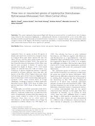 Image result for Leptonychia tokana