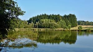 Možnost strávit dovolenou v soukromí u vody v okolí rožmberku. Rybnik Wikipedie