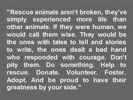 Pin By Lyndsey Carol On Inspiration Rescue Quotes Animal Rescue Quotes Animal Rescue