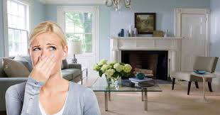 If you want to get rid of fish smell in the house, or just need a way to keep your fridge or garbage feeling perpetually kitchen smells aren't so bad when you're actually cooking, but who wants most refrigerator smells can be prevented by tossing expired items, but if your fridge continues to stink. Suffering From A Foul Smell At Your Home Premises Follow These Tips