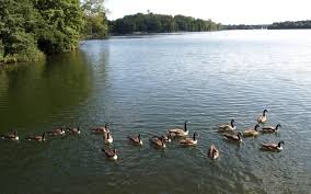 Jun 29, 2021 · alle anderen talsperren des wupperverbandes, z. Dlrg Warnt Kraft Beim Schwimmen Nicht Uberschatzen Radio Rsg